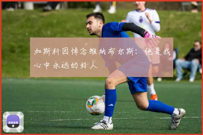 加斯科因悼念维纳布尔斯：他是我心中永远的好人