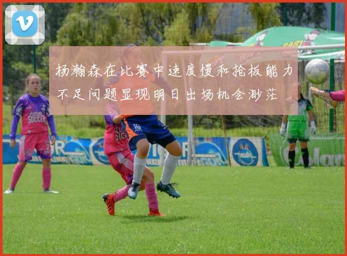 杨瀚森在比赛中速度慢和抢板能力不足问题显现明日出场机会渺茫
