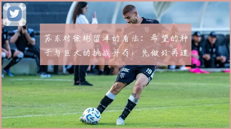 苏东对徐彬留洋的看法：希望的种子与巨大的挑战并存，先做好再追求完美